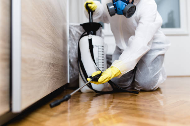 Best Emergency Pest Control  in Huron, CA