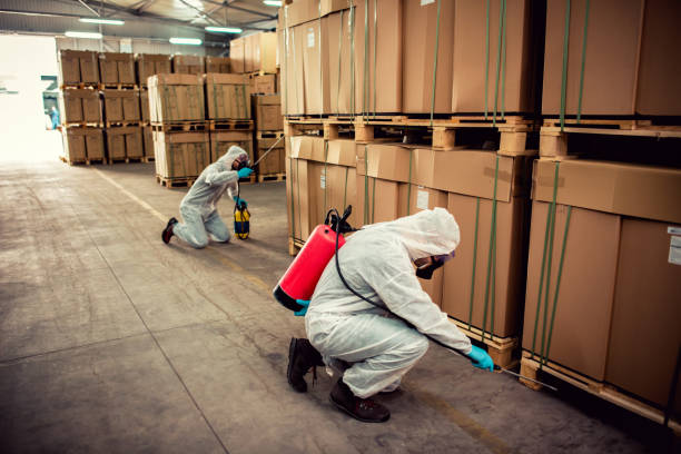 Best Wasp Removal Services  in Huron, CA