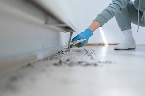 Best Best Pest Control Companies  in Huron, CA